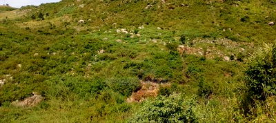 Kisumu Behind Kisian Centre Across the Railway Line. - Image 3