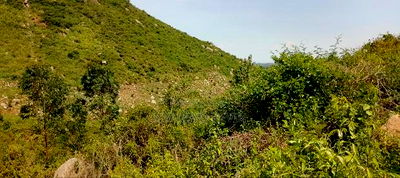 Kisumu Behind Kisian Centre Across the Railway Line. - Image 4