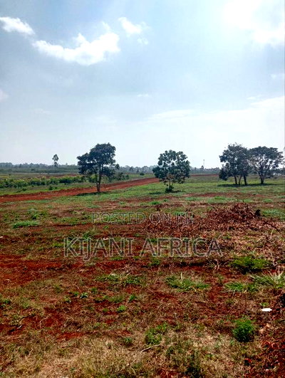 Serene and Luxurious Gated Estate Along Kenyatta Road - Image 7