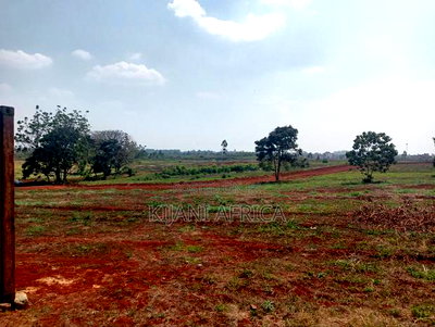 Serene and Luxurious Gated Estate Along Kenyatta Road - Image 6