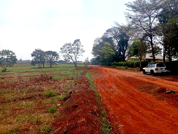 Serene and Luxurious Gated Estate Along Kenyatta Road