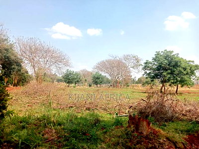 Serene and Luxurious Gated Estate Along Kenyatta Road - Image 9