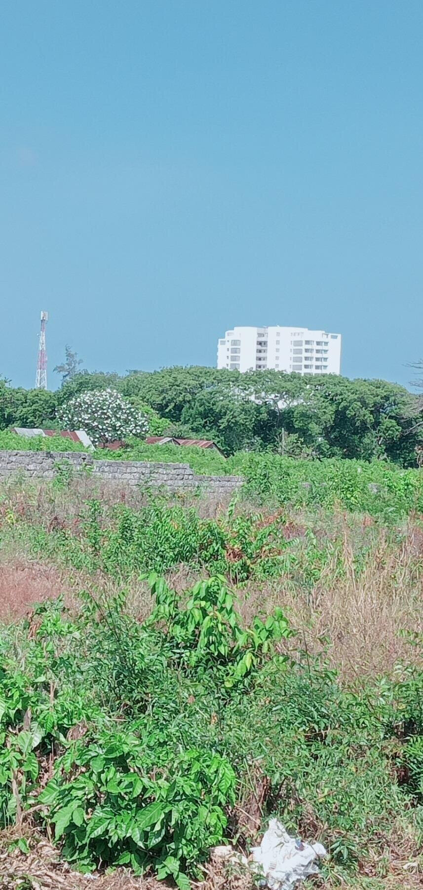 Garden Plot at KSh 1.5M