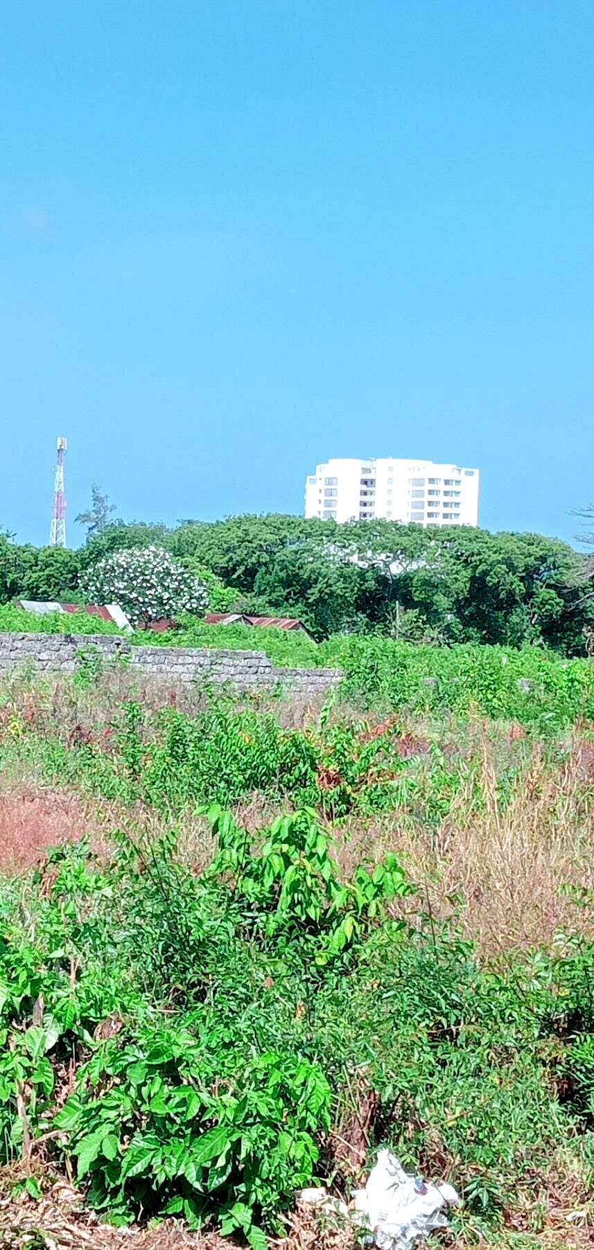 Garden Plot at KSh 1.5M