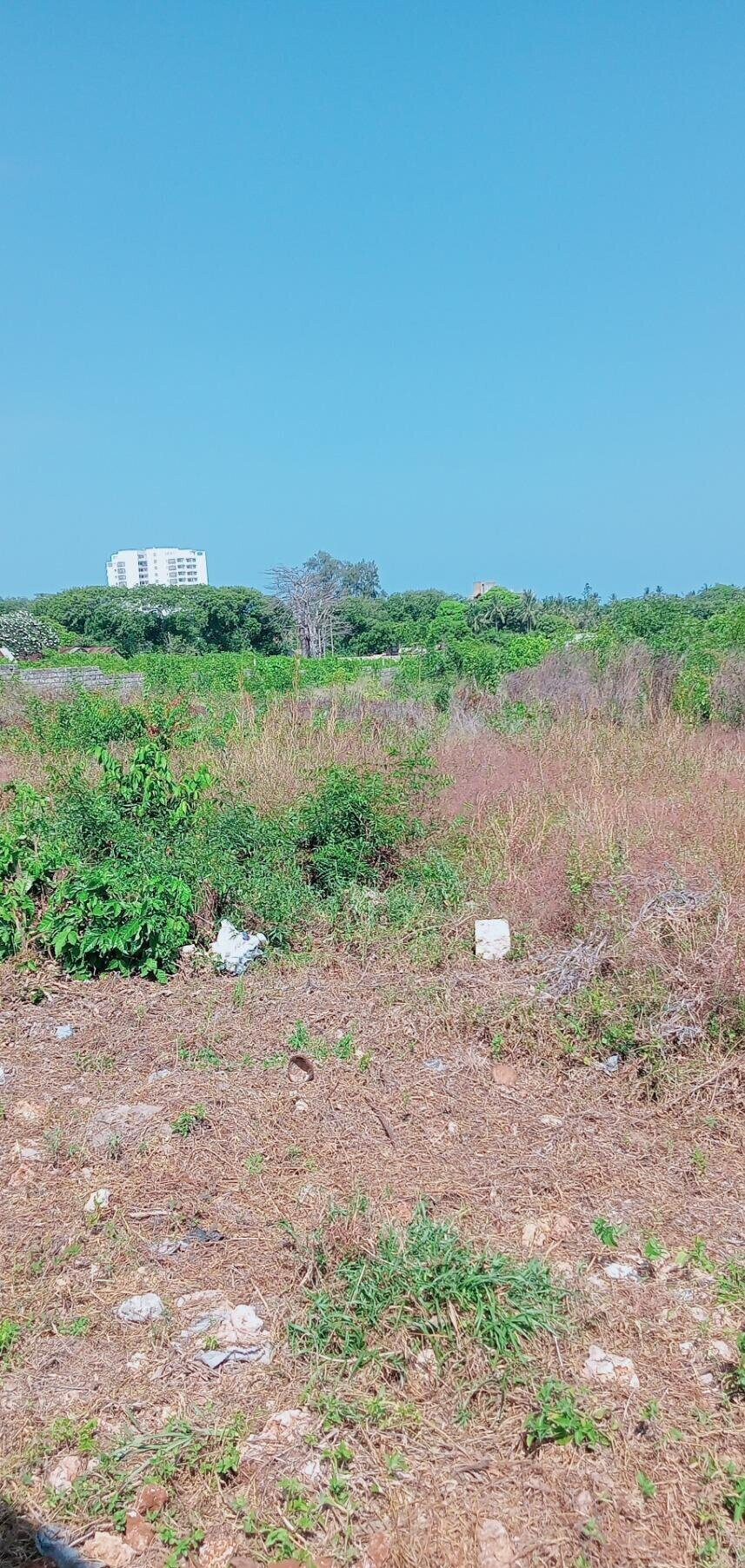 Garden Plot at KSh 1.5M