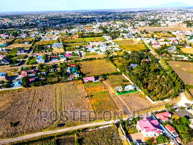 Noble Prime Plots for Sale
