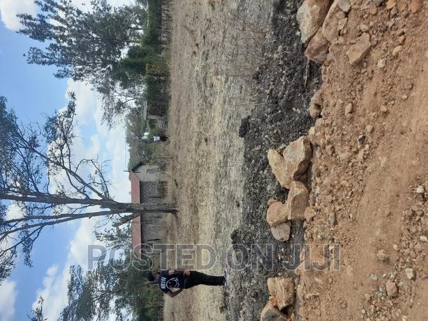 Jujafarm Plots for Sale