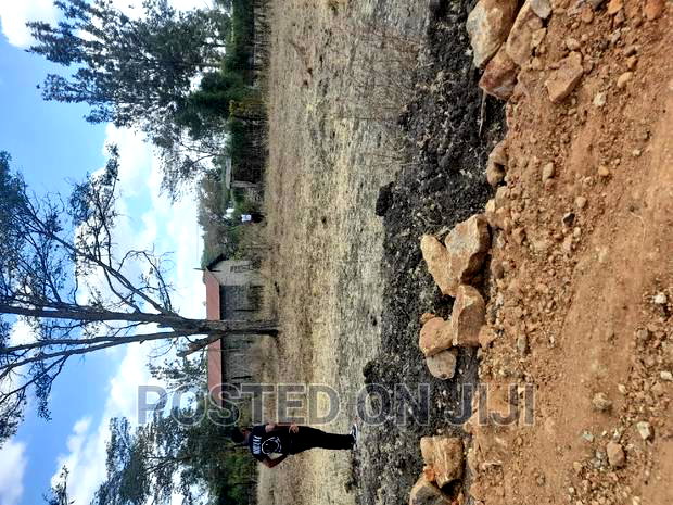 Jujafarm Plots for Sale