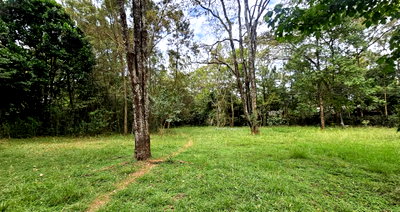 2.6-Acre Property with Garden and Parking