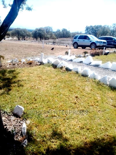 Naivasha Longonot - Image 2