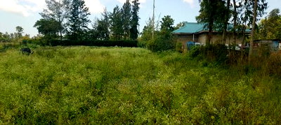 Bondo Behind Acccasia Hotel - Image 3