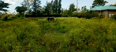 Bondo Behind Acccasia Hotel - Image 2