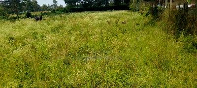 Bondo Behind Acccasia Hotel - Image 4