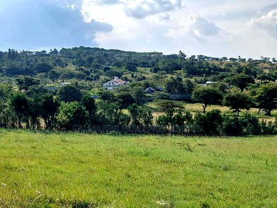 Distressed Sale of Prime Half Acre Land Off Pipeline Road - Image 1