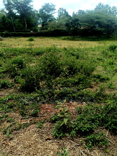 A Half Acre Plot Near Waterfront Mall in Karen - Image 6