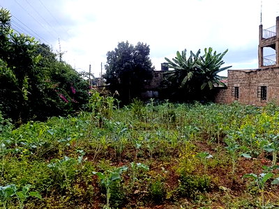 Prime Commercial Plot for Sale in Thogoto Shopping Centre - Image 5