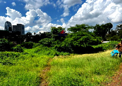 2-Acre Riverside Plot for KSh 200M