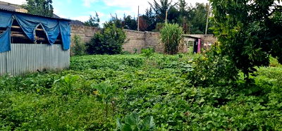 5bdrm Maisonette in Annex Estate, Racecourse for sale - Image 7