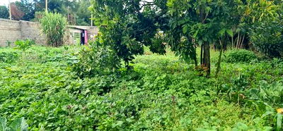 5bdrm Maisonette in Annex Estate, Racecourse for sale - Image 11