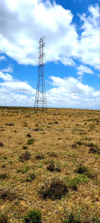 Land in Naivasha, Selling at 580,000 - Image 6