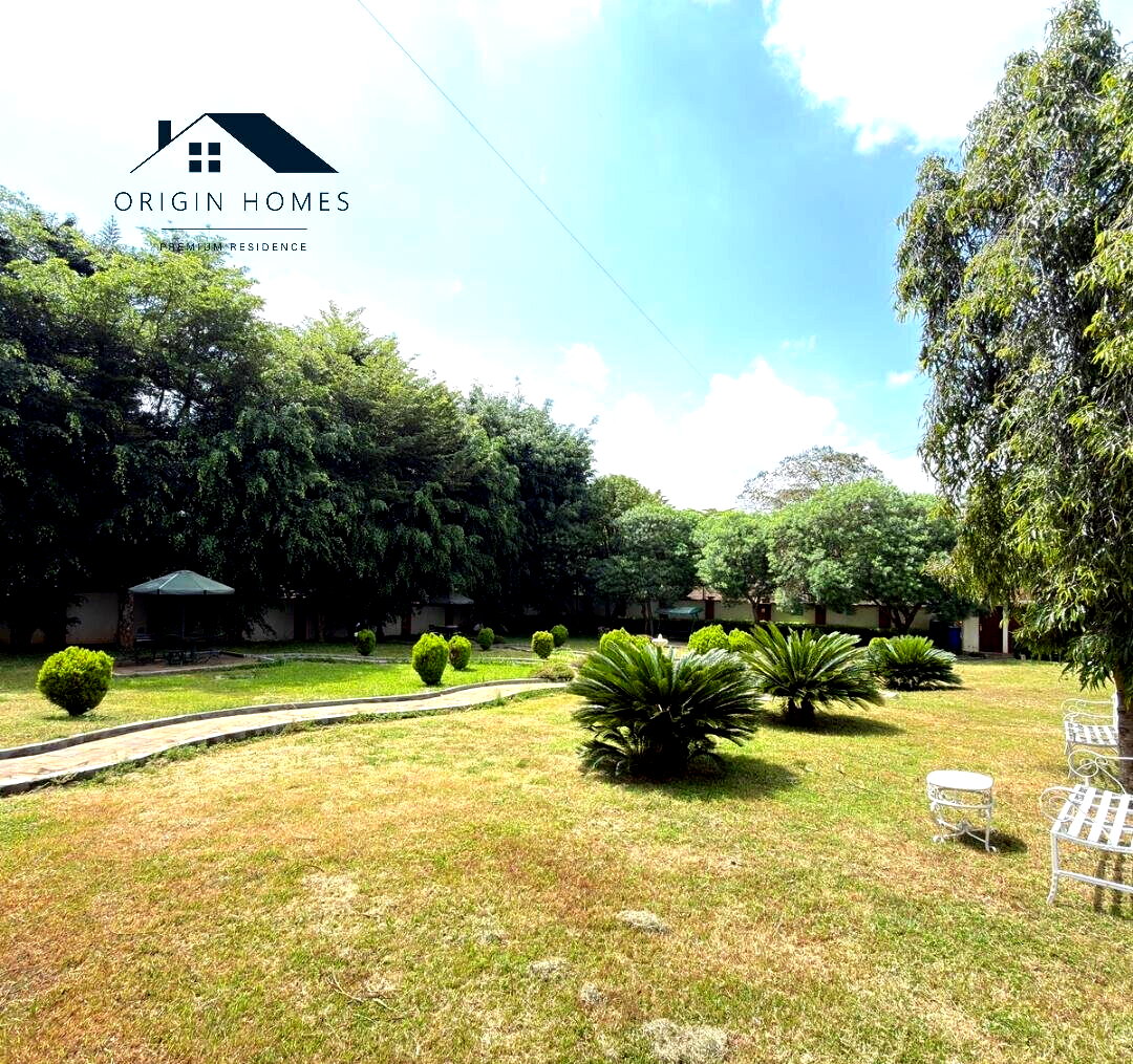 50x100 Plot Office Space in Runda
