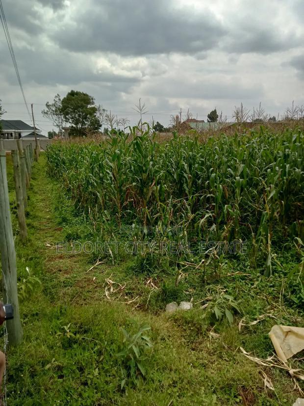 1/4 Plus 1/8 Annex Touching Feeder Tarmac