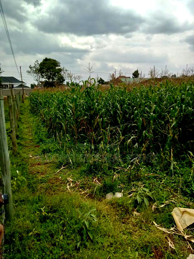 1/4 Plus 1/8 Annex Touching Feeder Tarmac