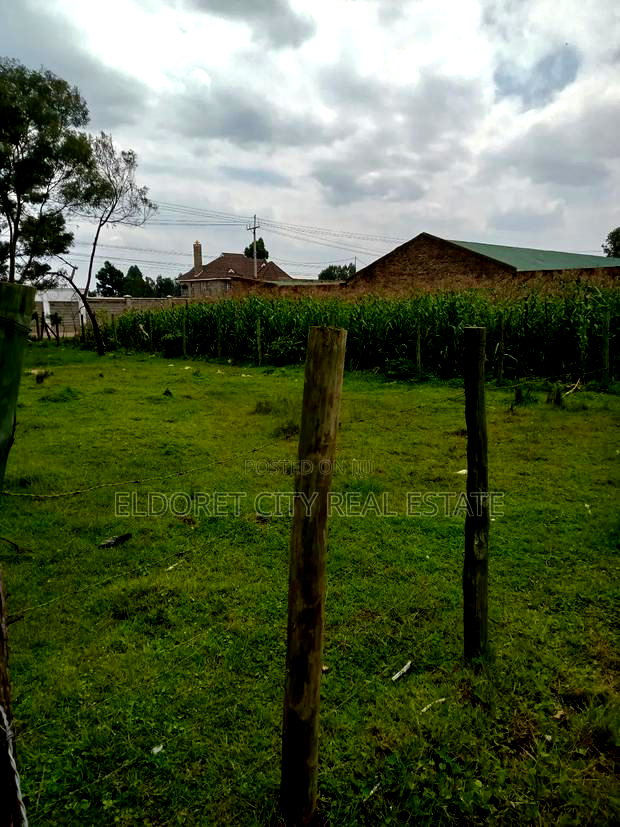 1/4 Plus 1/8 Annex Touching Feeder Tarmac