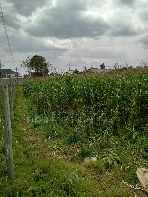 1/4 Plus 1/8 Annex Touching Feeder Tarmac