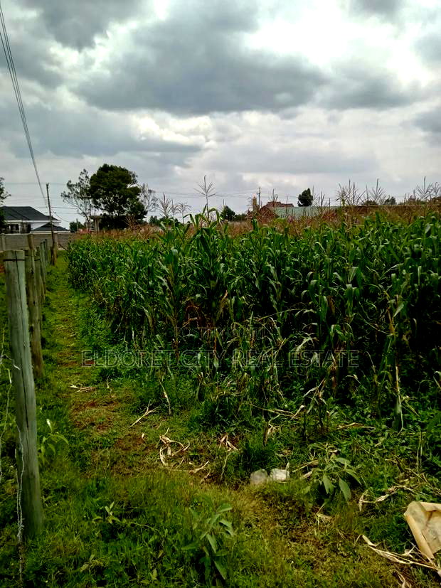 1/4 Plus 1/8 Annex Touching Feeder Tarmac