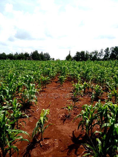 One Acre Elgonview Upper With Title - Image 1