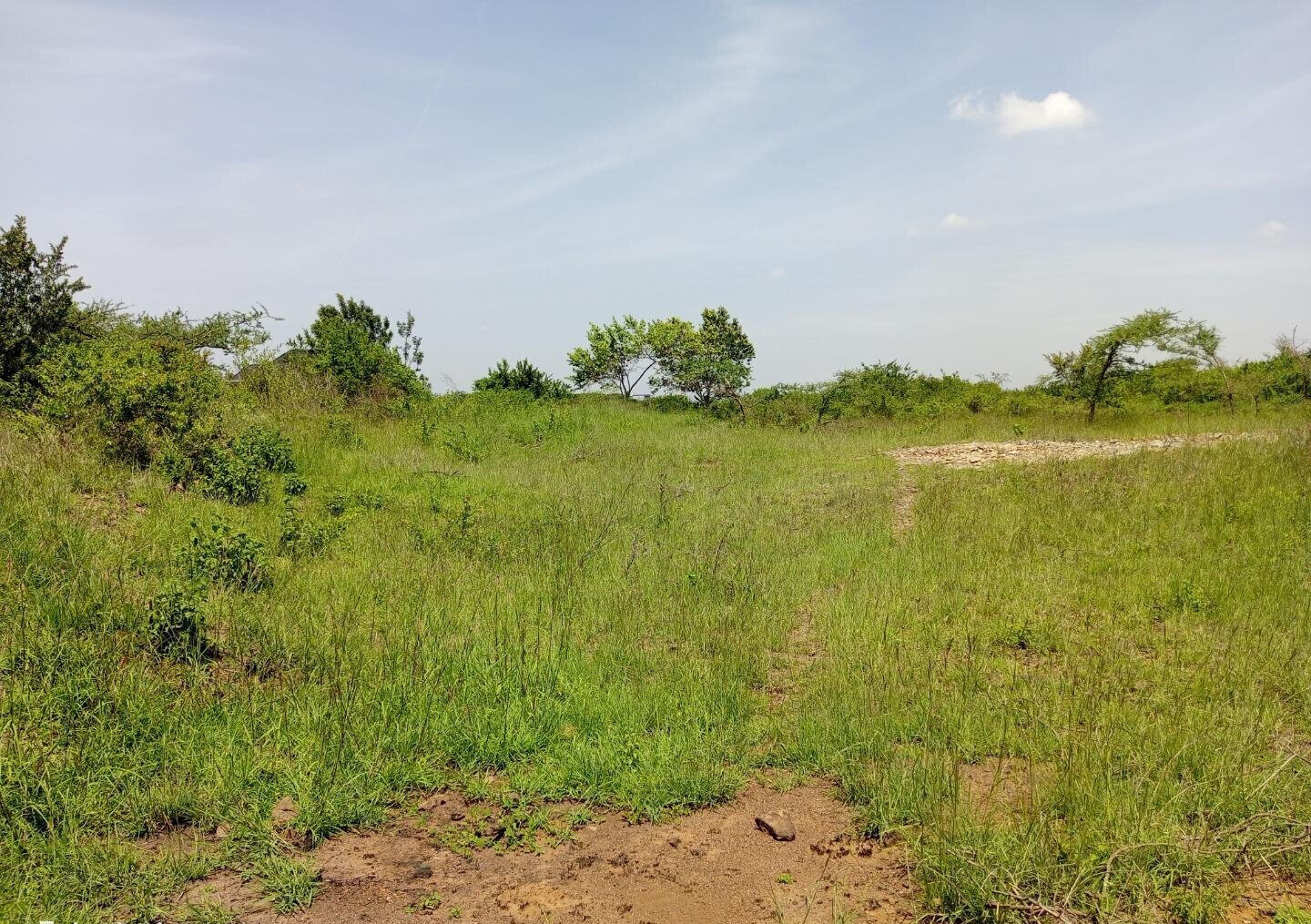 KSh 7.5M Ongata Rongai Plot