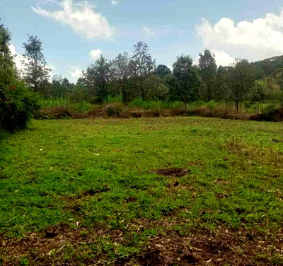 Quarter Acre Serviced Plot in Kibiku