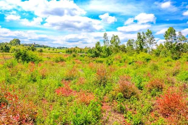 Prime Residential Plots for Sale in Kikuyu, Ondiri.