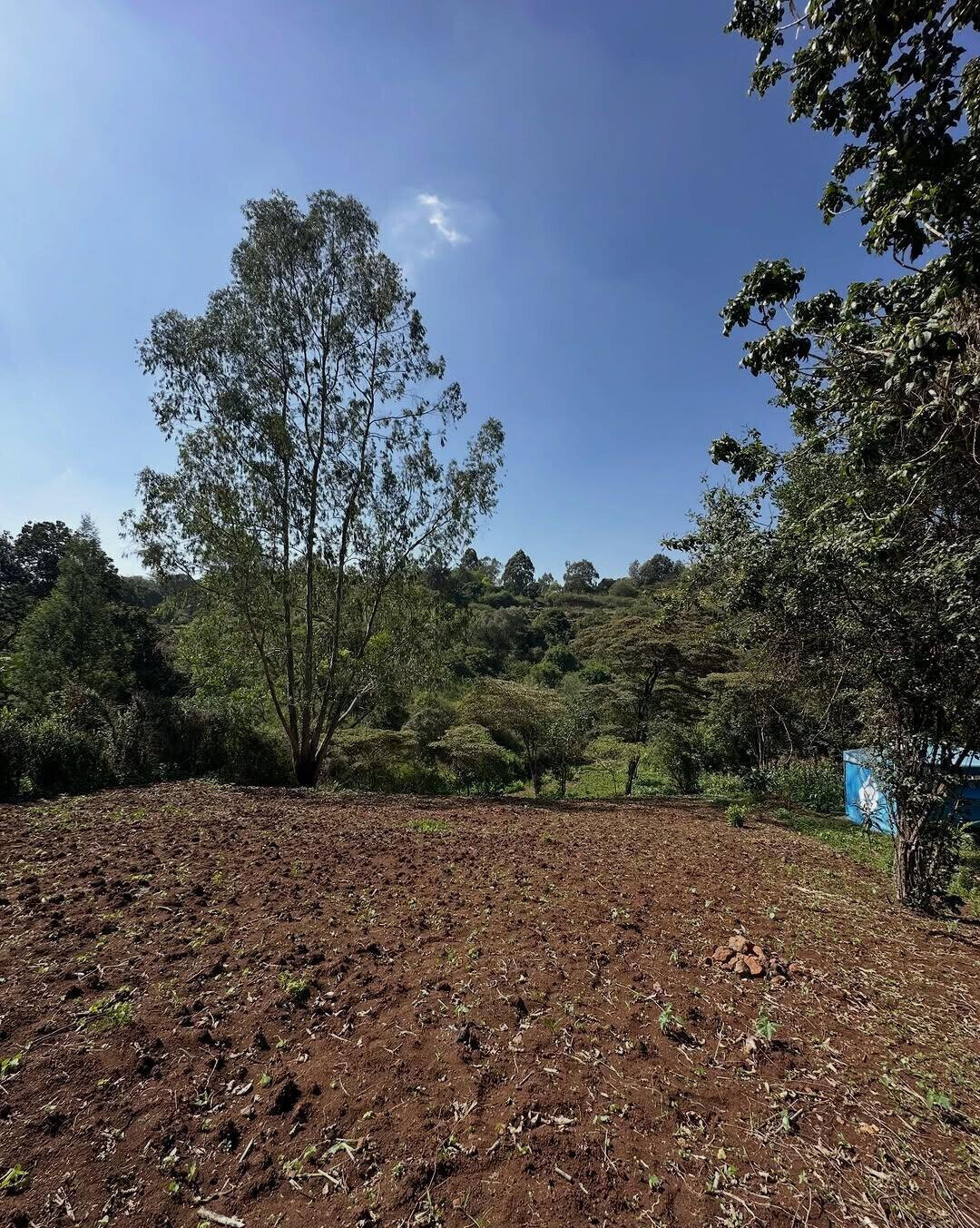 Half Acre Plot in Karen at KSh 32M