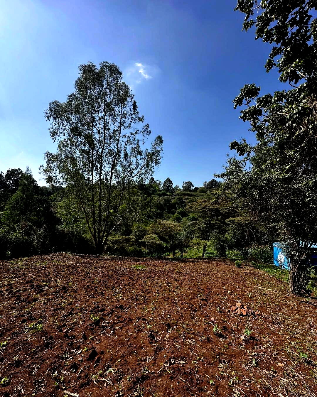 Half Acre Plot in Karen at KSh 32M