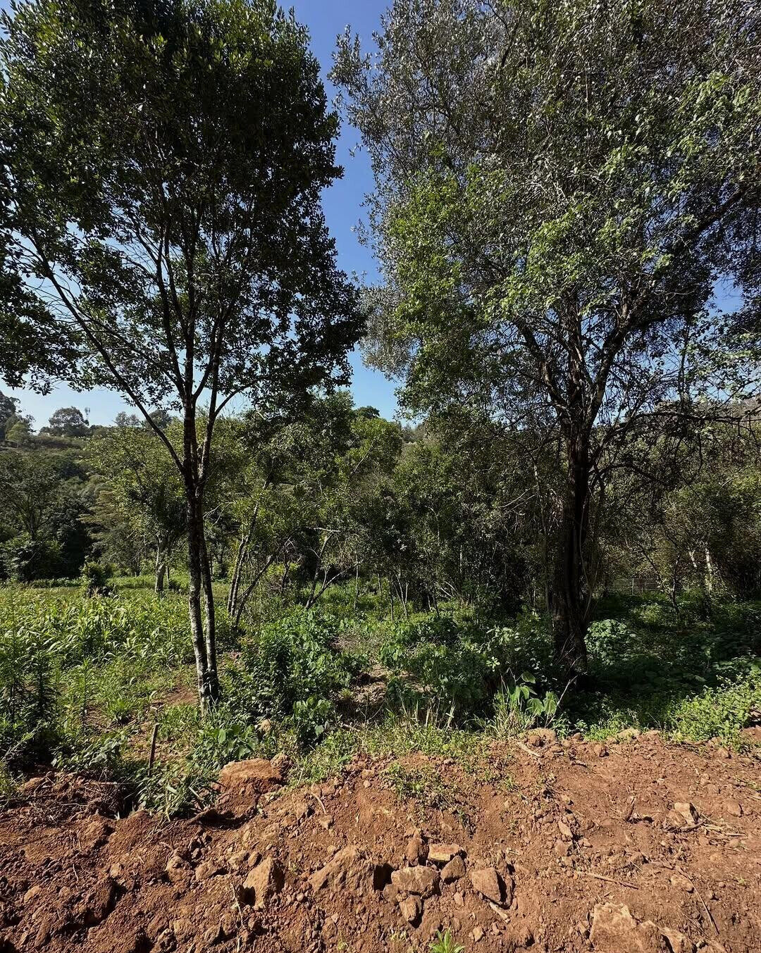 Half Acre Plot in Karen at KSh 32M