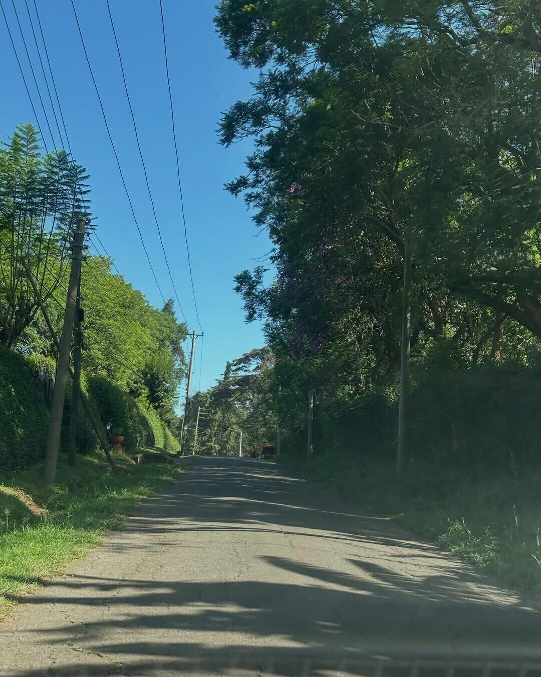 Half Acre Plot in Karen at KSh 32M
