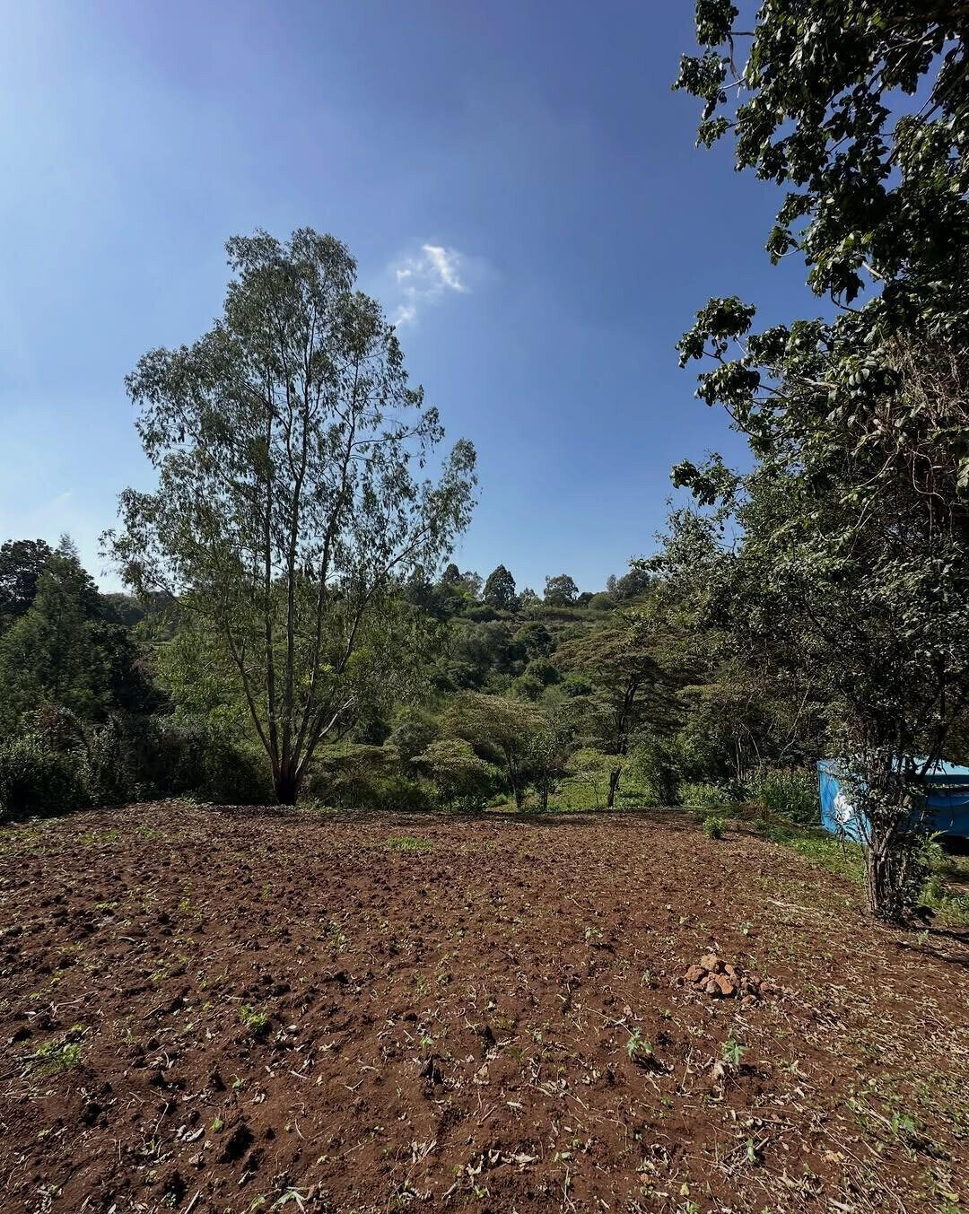Half Acre Plot in Karen at KSh 32M