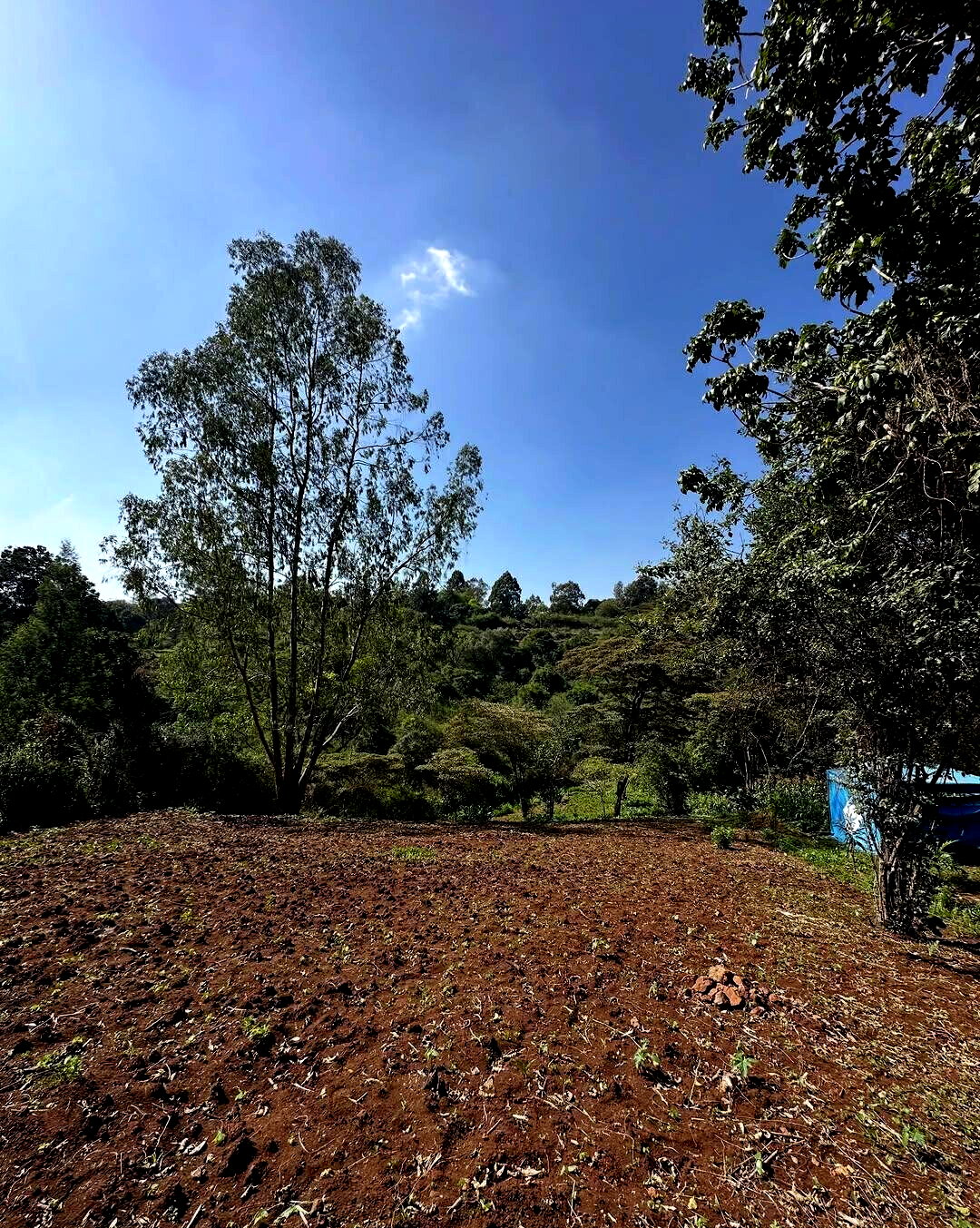 Half Acre Plot in Karen at KSh 32M