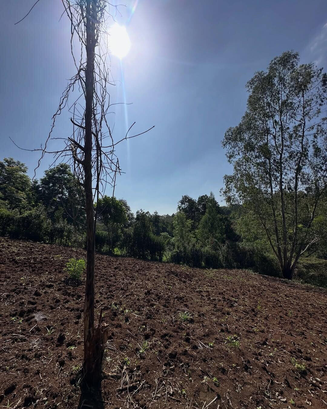 Half Acre Plot in Karen at KSh 32M