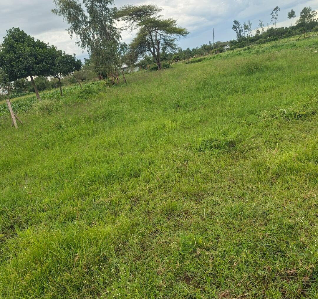 2-Acre Plot in Kisumu West for KSh 4.5M