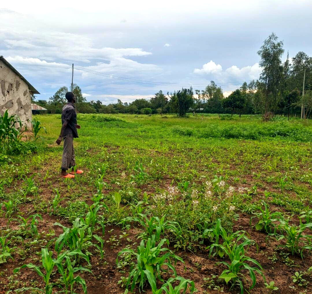 2-Acre Plot in Kisumu West for KSh 4.5M