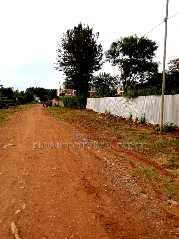 3/4 of Aland West Indies With Title