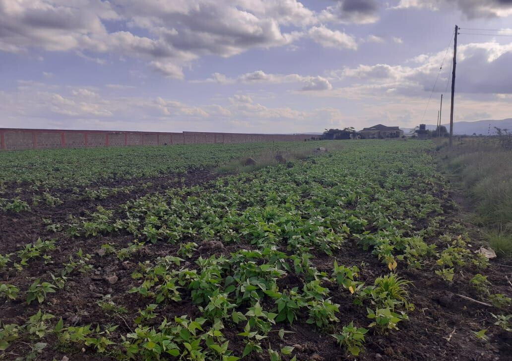 Quarter Acre Garden Plot in Ongata Rongai