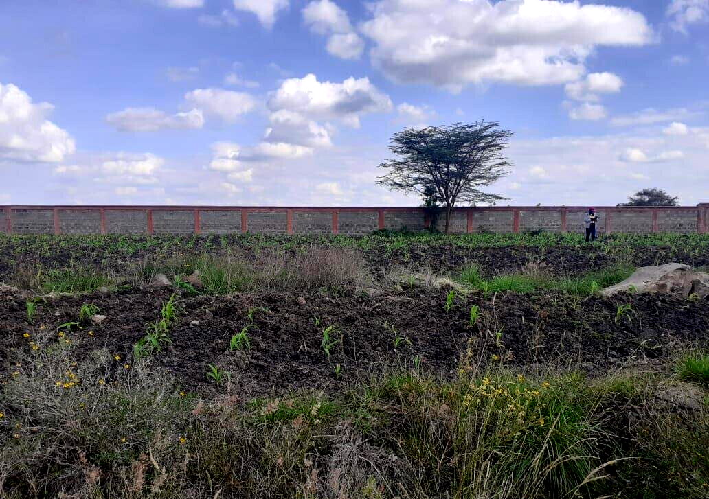Quarter Acre Garden Plot in Ongata Rongai