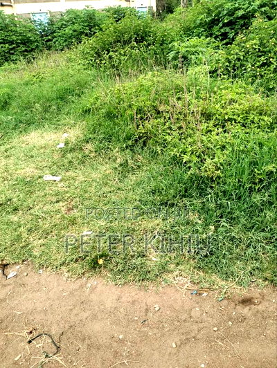 Zimmerman 90ft by 50ft Plot for Apartments - Image 4