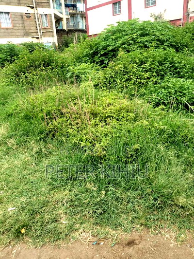 Zimmerman 90ft by 50ft Plot for Apartments - Image 3