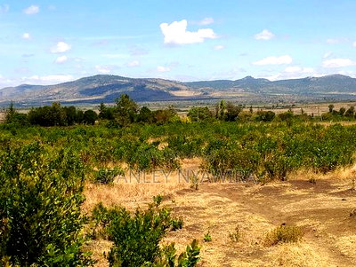 8 Acreas for Sale Nanyuki - Image 3