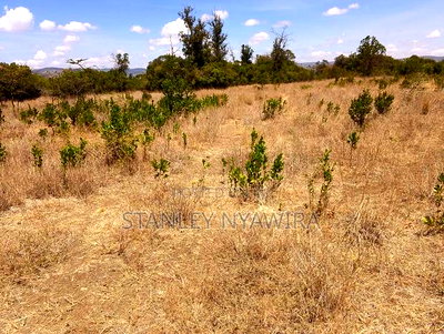 8 Acreas for Sale Nanyuki - Image 4